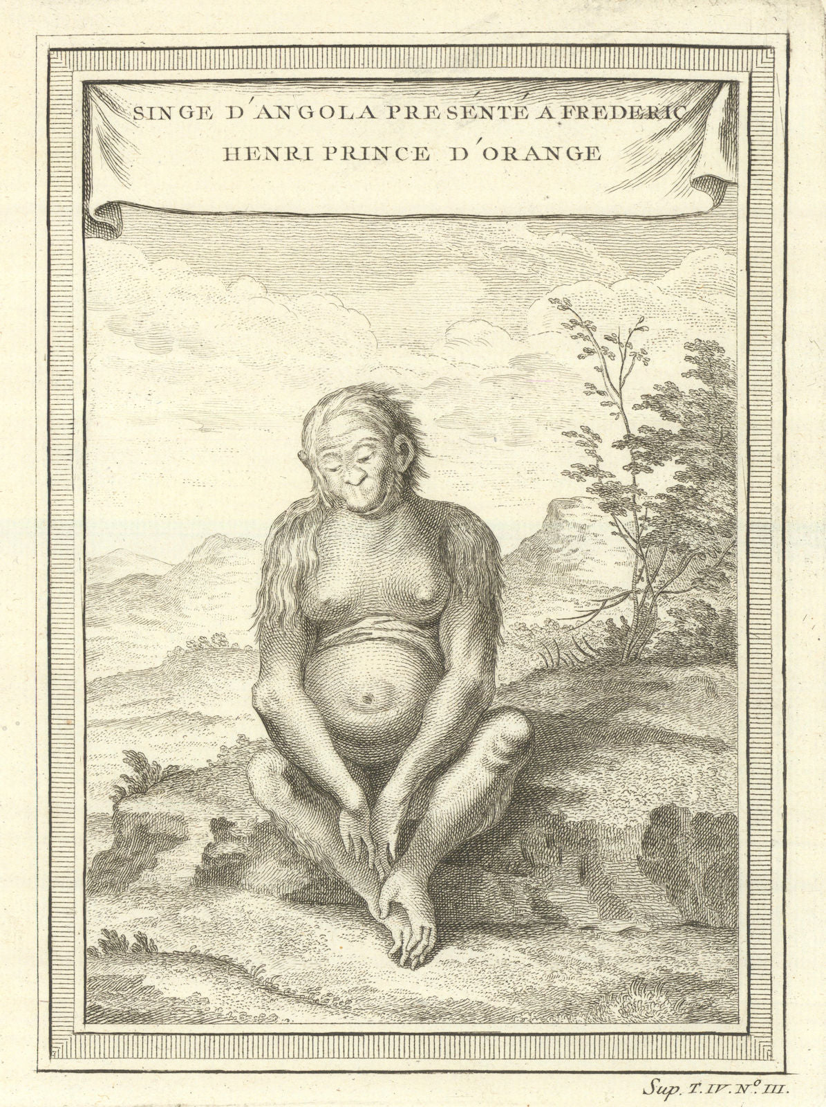 Monkey from Angola, presented to Frederick Henry, Prince of Orange. BELLIN 1747